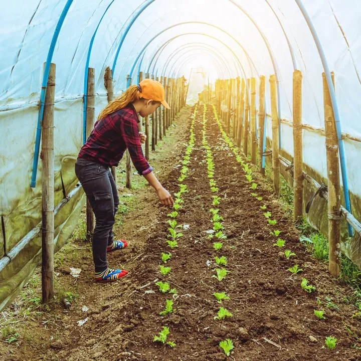 Agriculture & Horticulture